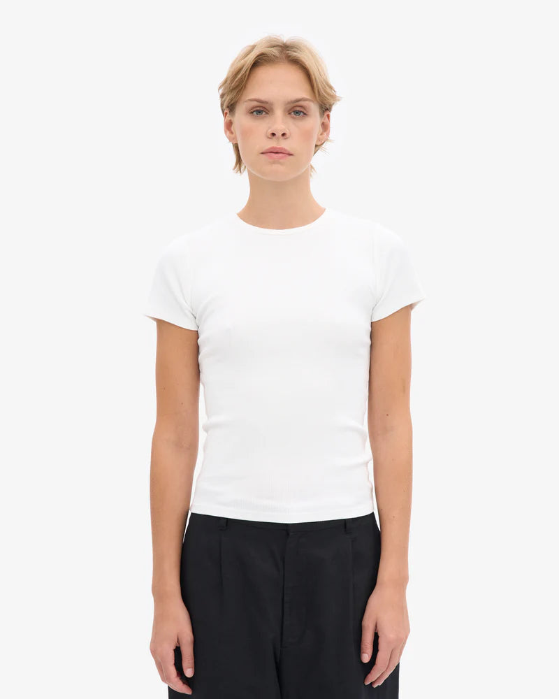 Organic Rib SS T-Shirt