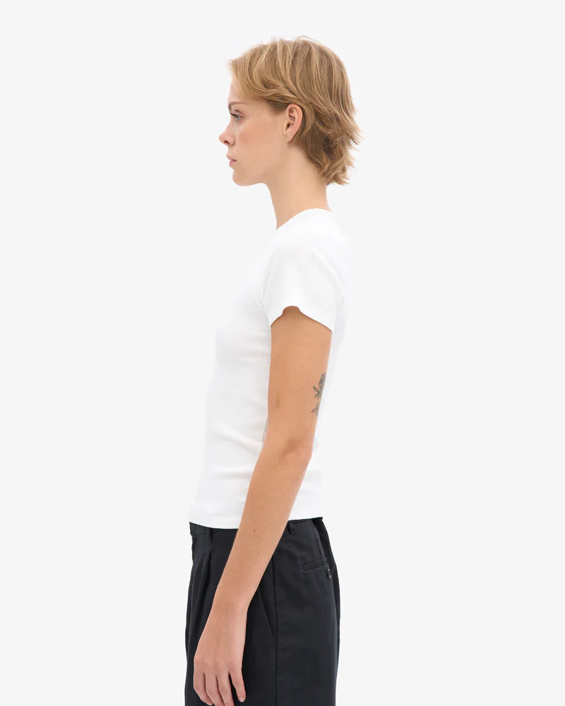 Organic Rib SS T-Shirt
