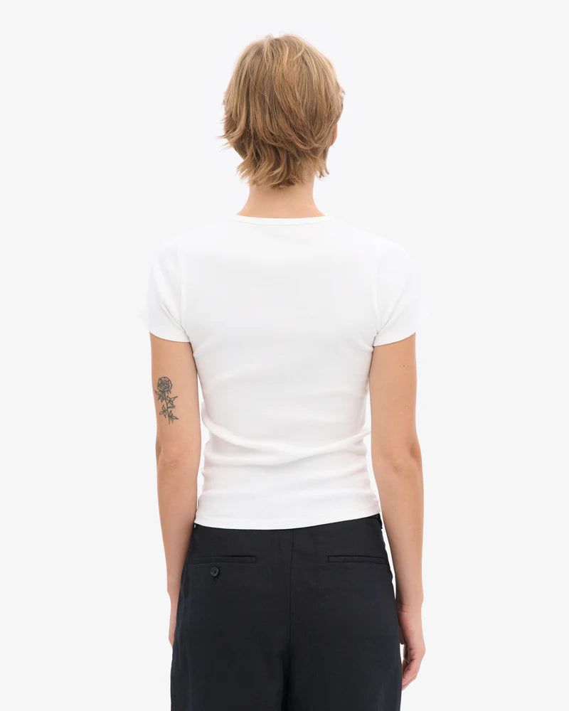 Organic Rib SS T-Shirt