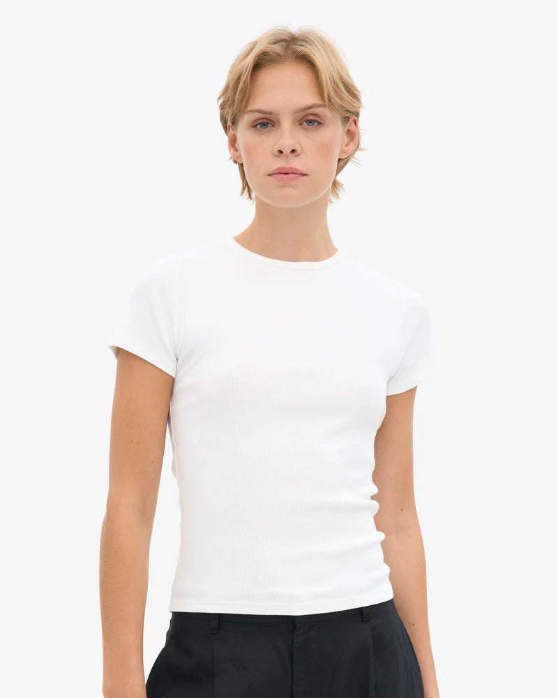 Organic Rib SS T-Shirt