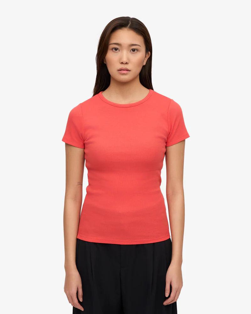Organic Rib SS T-Shirt