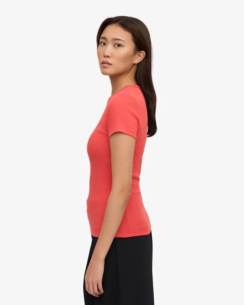 Organic Rib SS T-Shirt